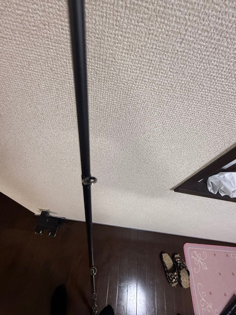 エバーグリーン　カレイド　インスピラーレ　コブラDG