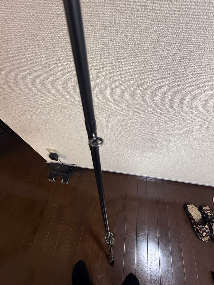 エバーグリーン　カレイド　インスピラーレ　コブラDG