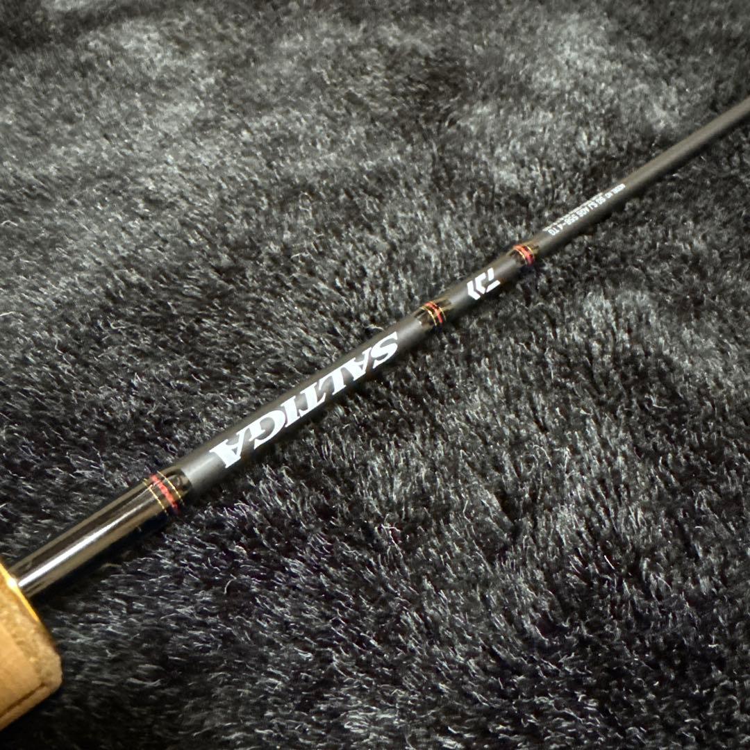 ソルティガ SJ AGS 55B-4 TG SALTIGA