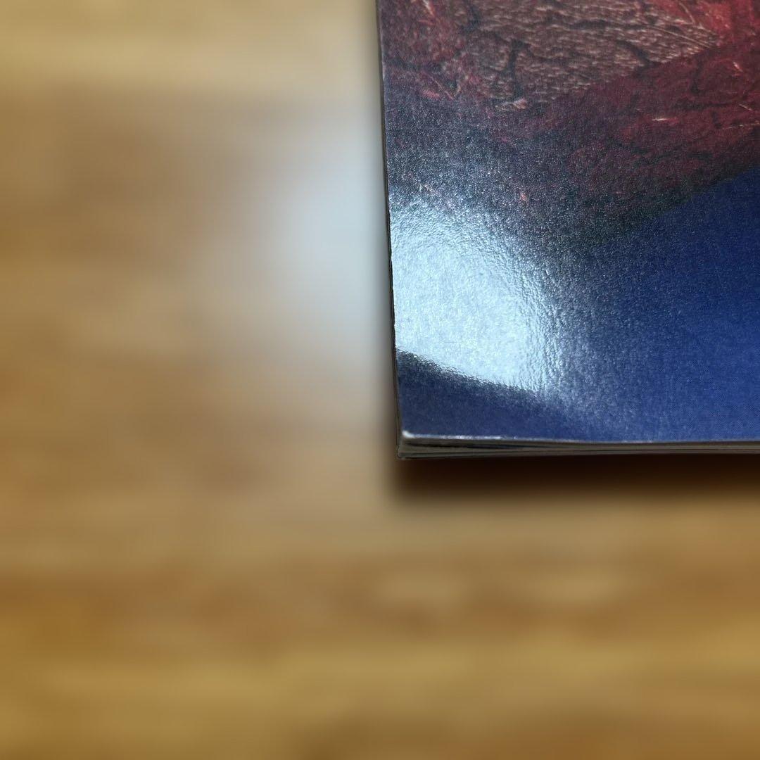 玉置浩二ツアーパンフレット2冊