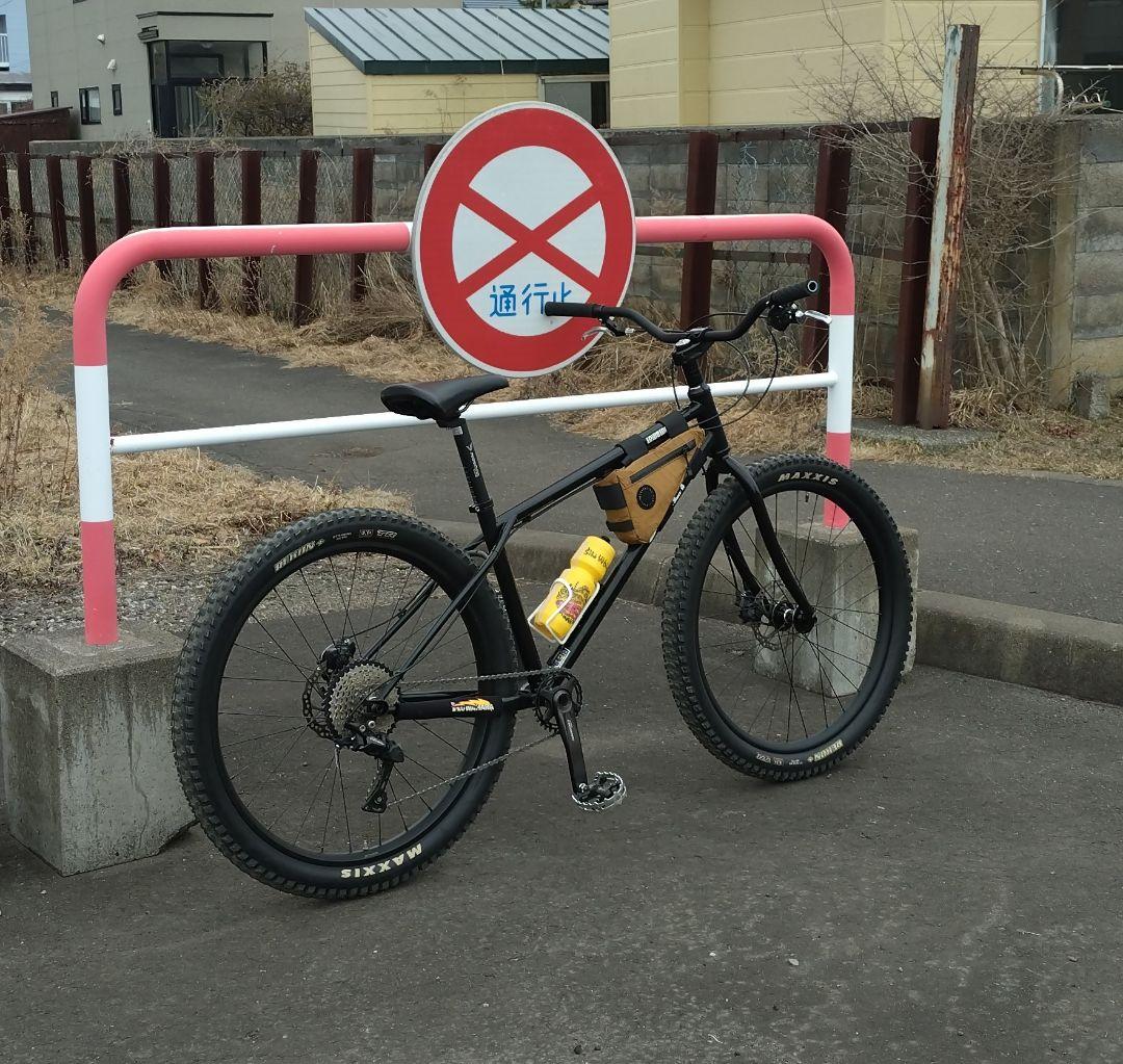 サーリー SURLY ローサイド LOWSIDE サイズ∶M