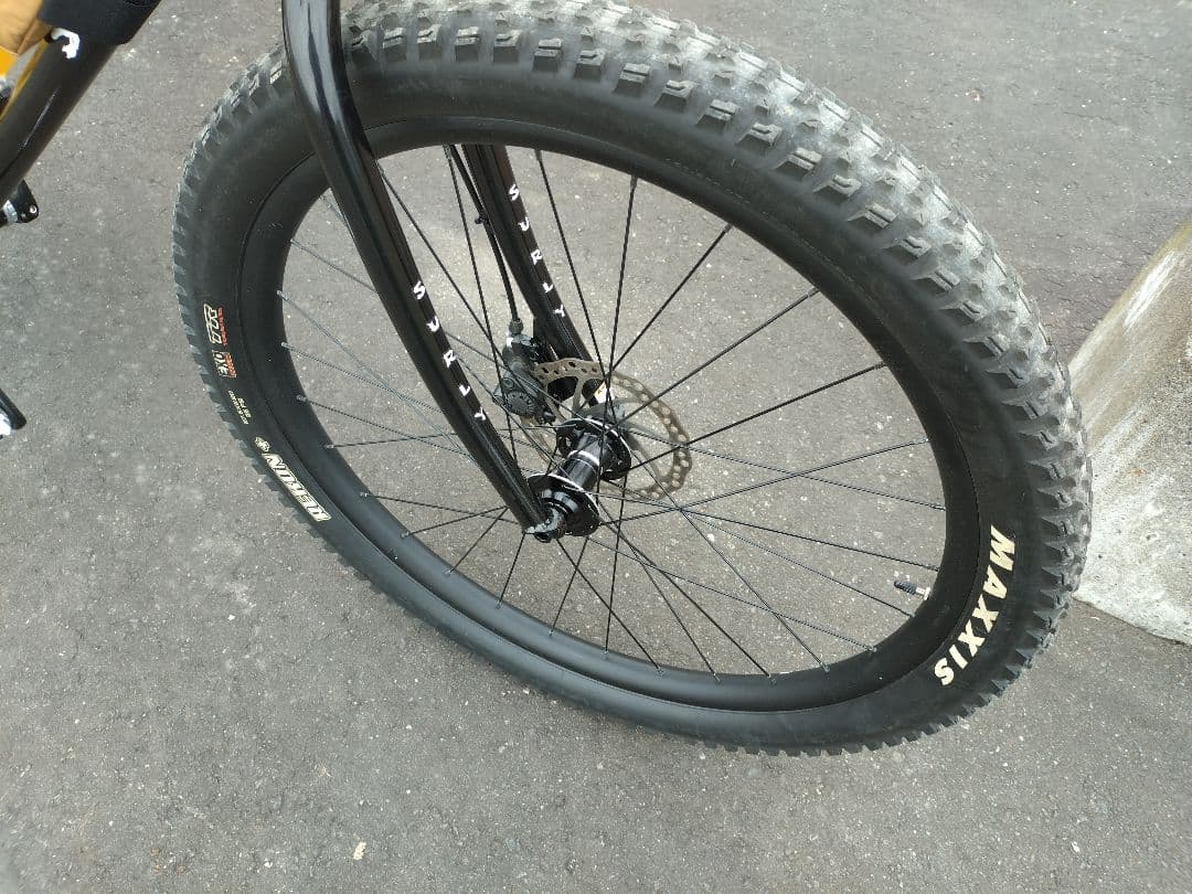 サーリー SURLY ローサイド LOWSIDE サイズ∶M