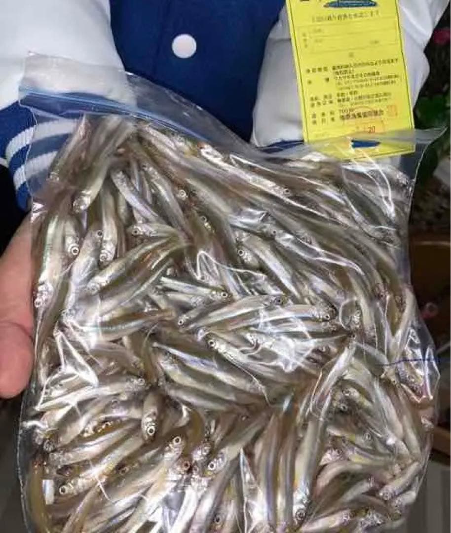 新商品　竹ワカサギ穂先