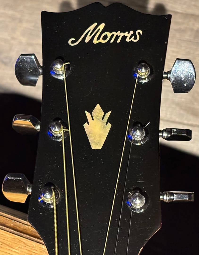 M*i様 Morris Dove Model WD-30 美品