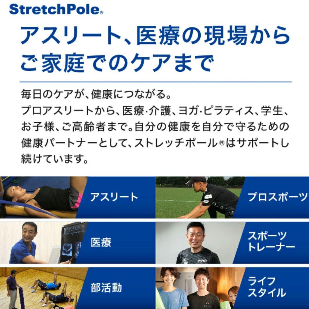 【極美品】LPN ストレッチポールEX ネイビー 紺色