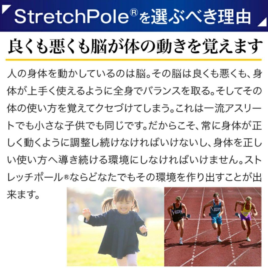 【極美品】LPN ストレッチポールEX ネイビー 紺色