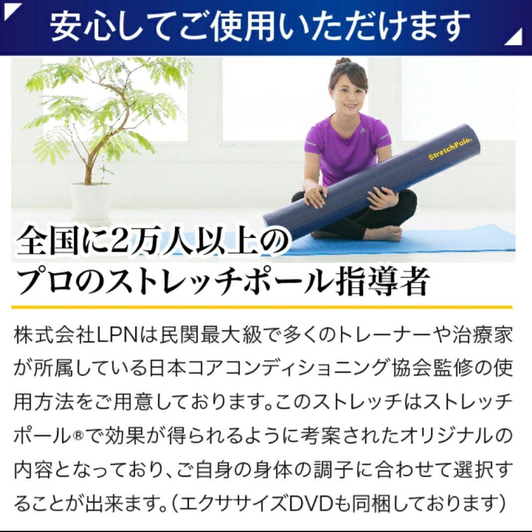 【極美品】LPN ストレッチポールEX ネイビー 紺色