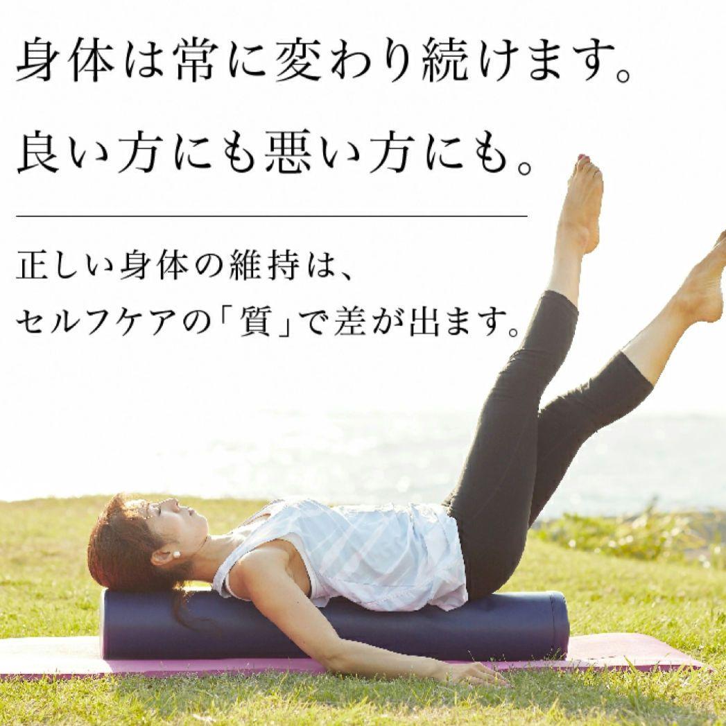 【極美品】LPN ストレッチポールEX ネイビー 紺色
