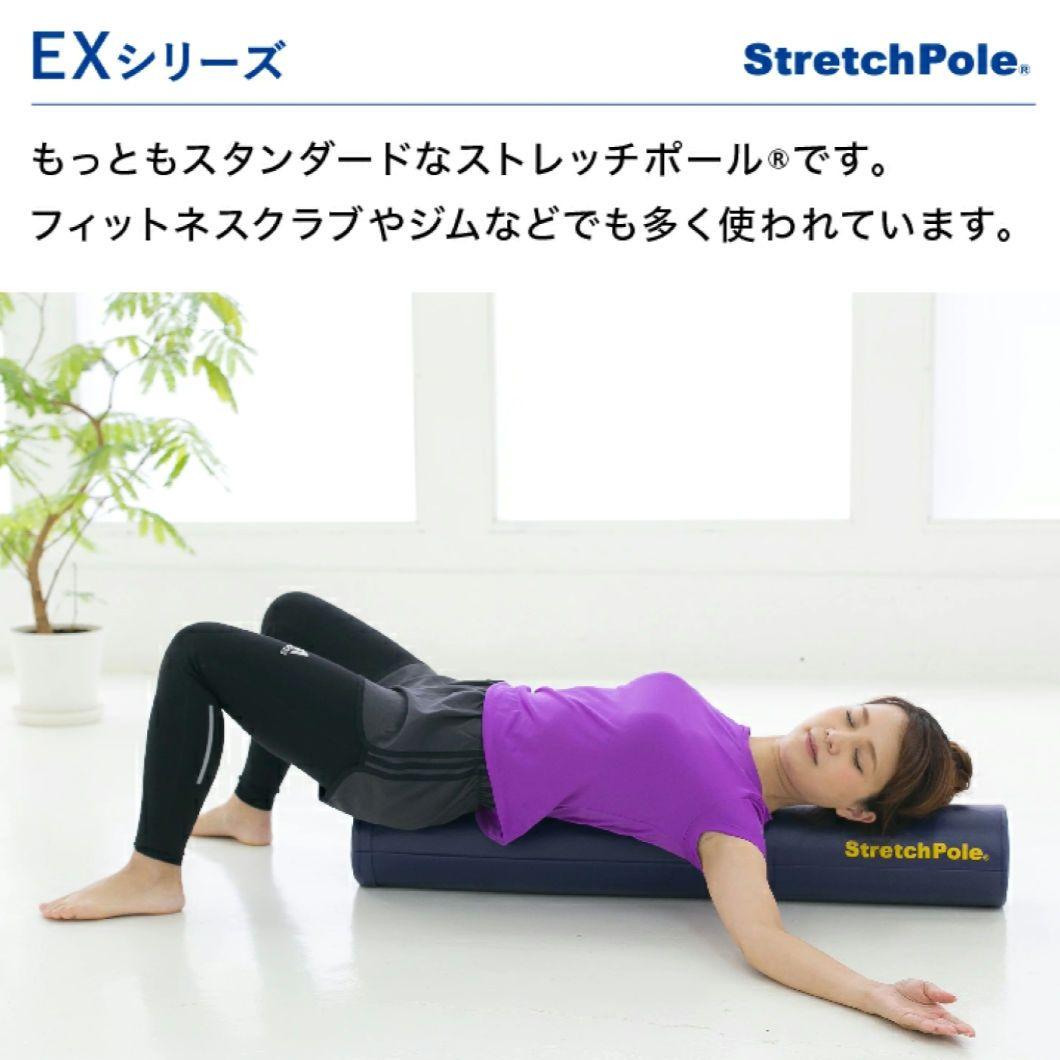【極美品】LPN ストレッチポールEX ネイビー 紺色
