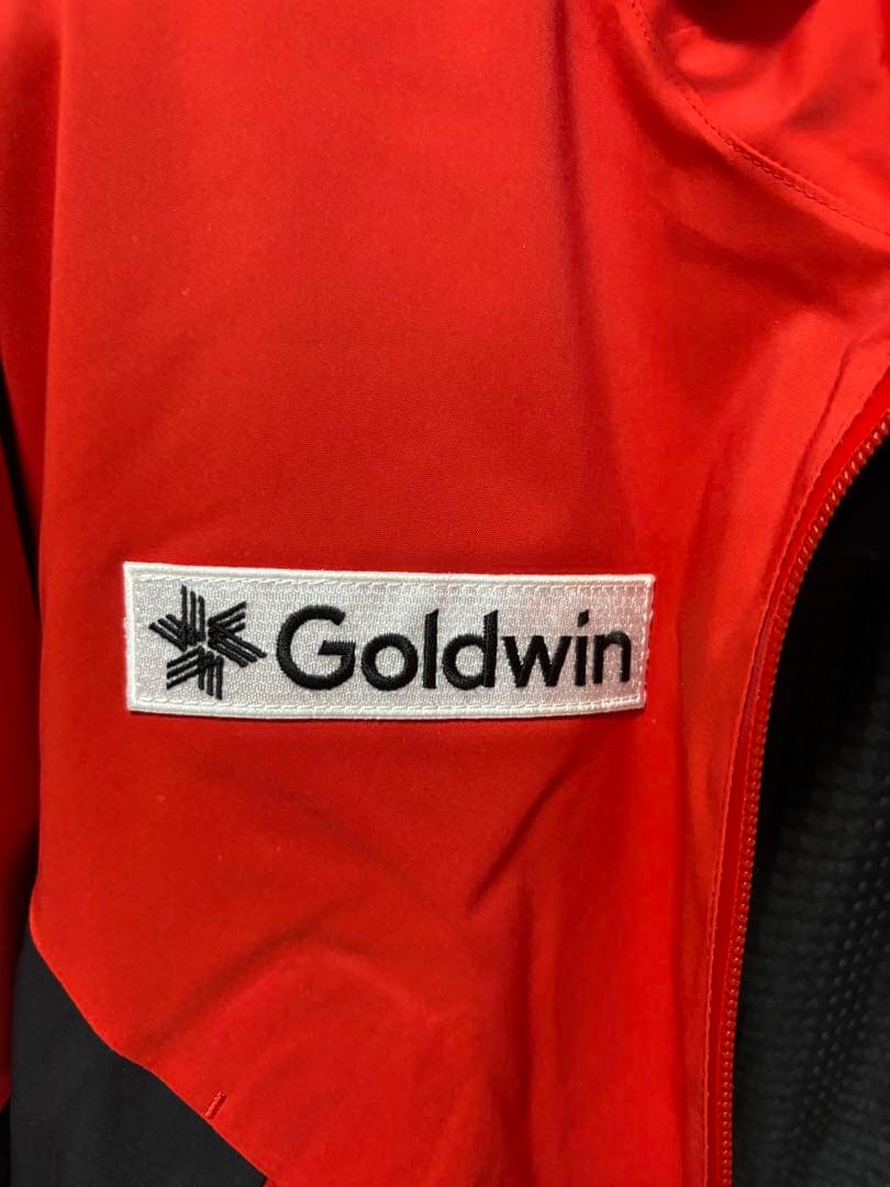 Goldwin GB Alpine Ski Team スキーウェア　Lサイズ