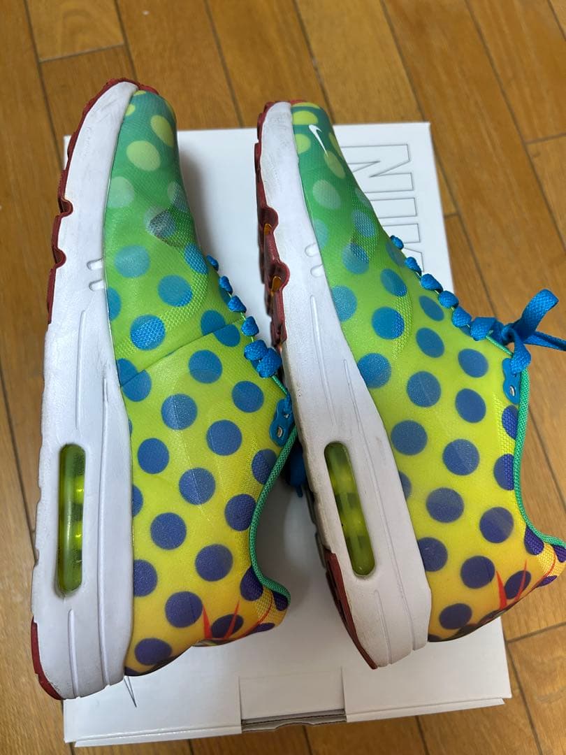 NIKE Air Max 1 Ultra 2.0 GPX 24.5㎝