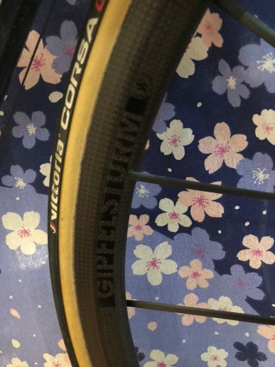ライトウェイト ギプフェルシュトルム