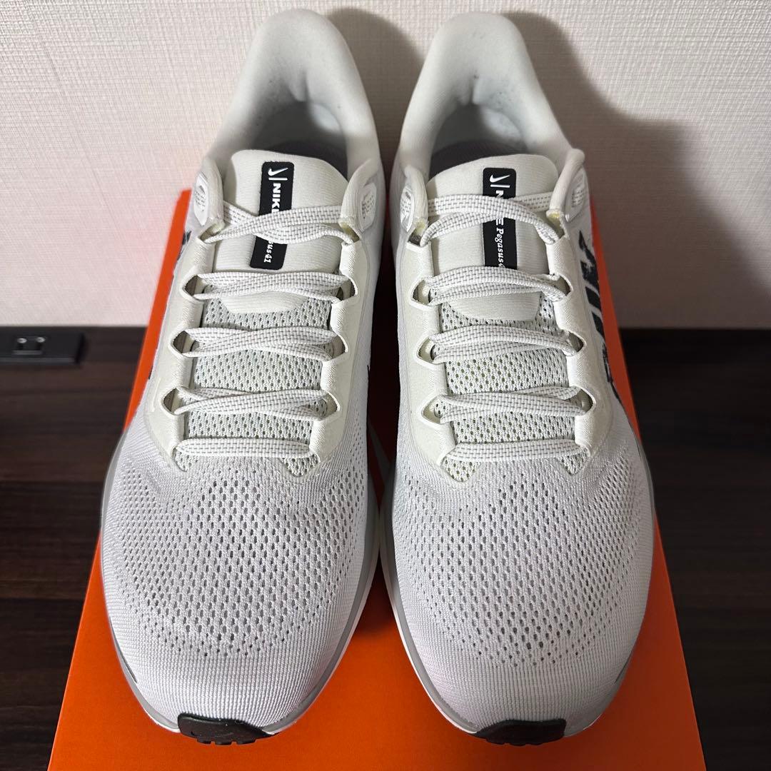 NIKE エア ズーム ペガサス 41 限定品