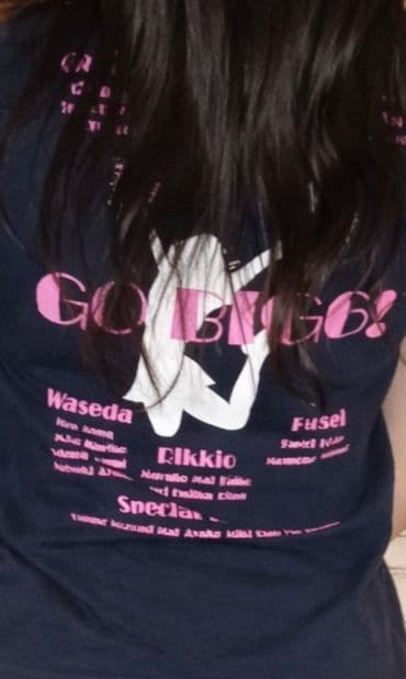 早稲田　明治　法政　立教 Tシャツ六大学野球　チア　大学　慶應　ユニフォーム