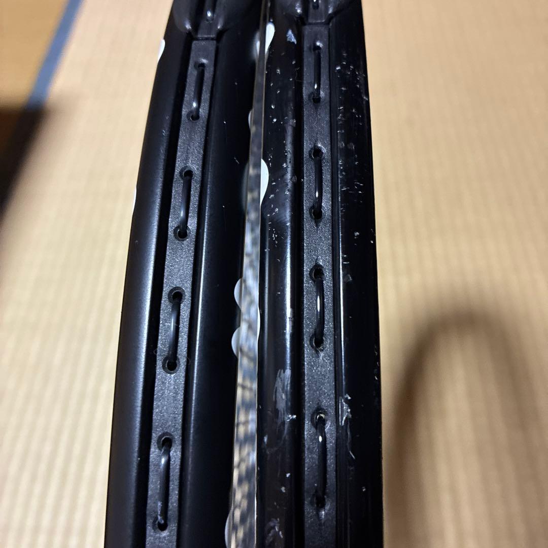 Mantis PRO 295 2本セット