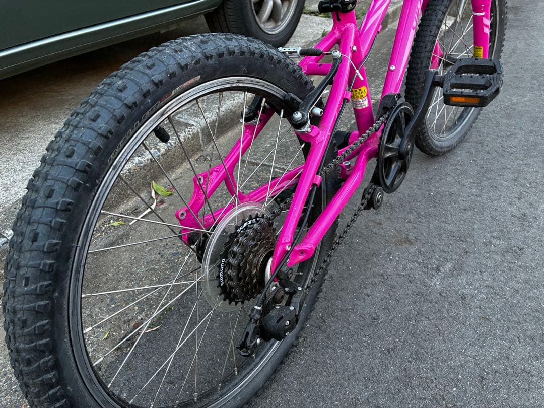 Specialized HOTROCK 20インチジュニア自転車 ピンク