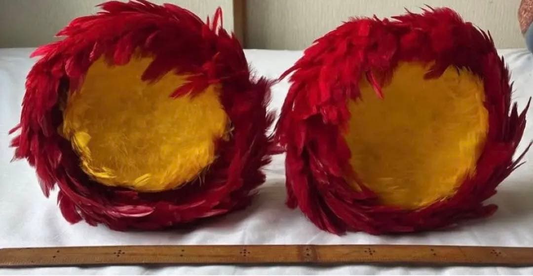 ウリウリ　フラダンス　ハワイ　楽器　一体型