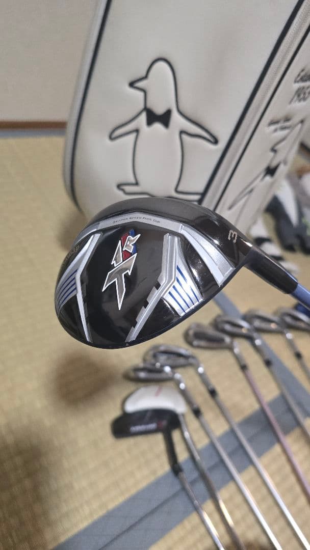 【中古】レディースクラブセット 12本