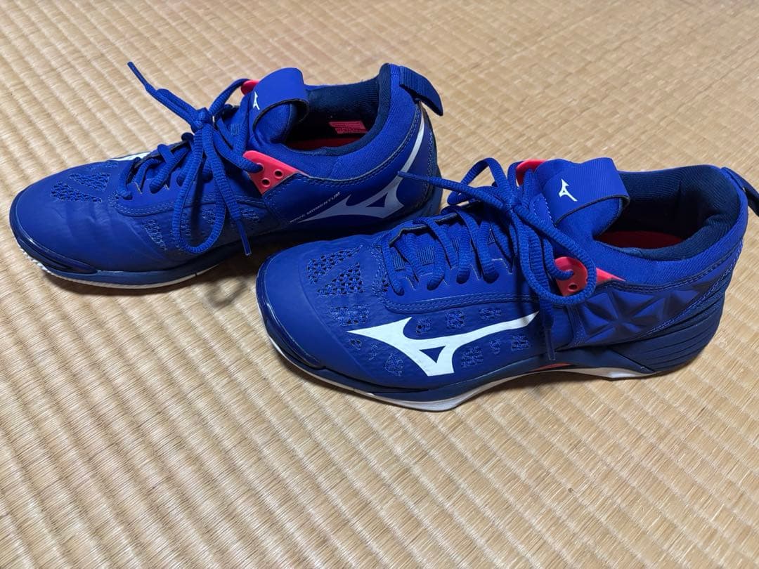 ★MIZUNOシューズ25.5cm★シューズケース付き