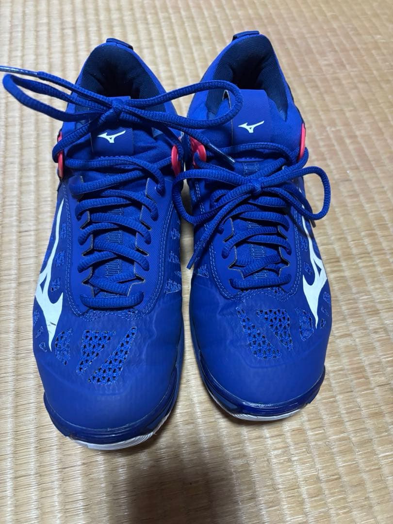 ★MIZUNOシューズ25.5cm★シューズケース付き