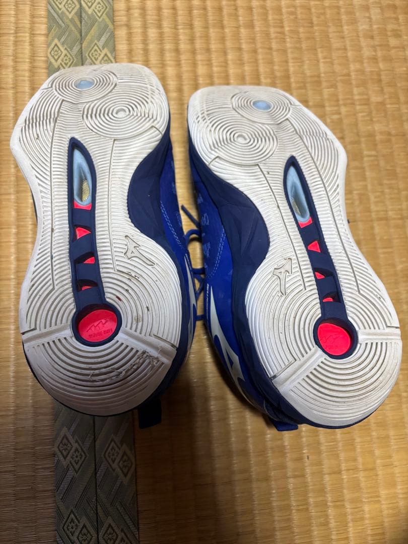 ★MIZUNOシューズ25.5cm★シューズケース付き
