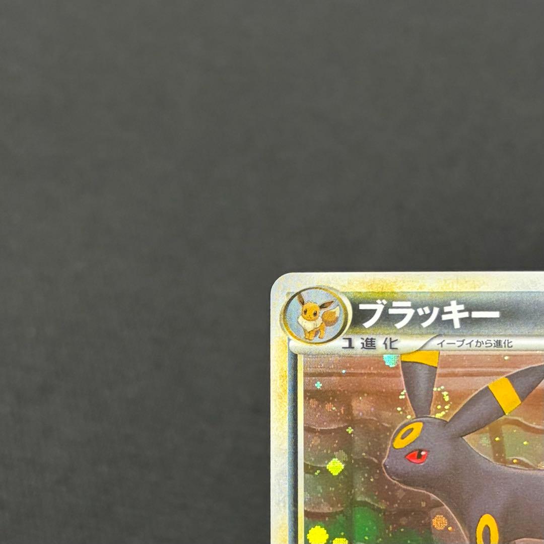 10/0607 美品 ブラッキー L2 037/080