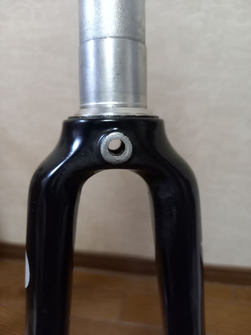 アルピナ　Alpina Full Carbon Road Fork　ピスト
