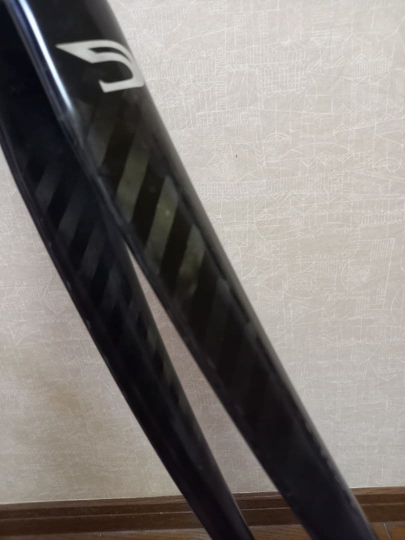 アルピナ　Alpina Full Carbon Road Fork　ピスト