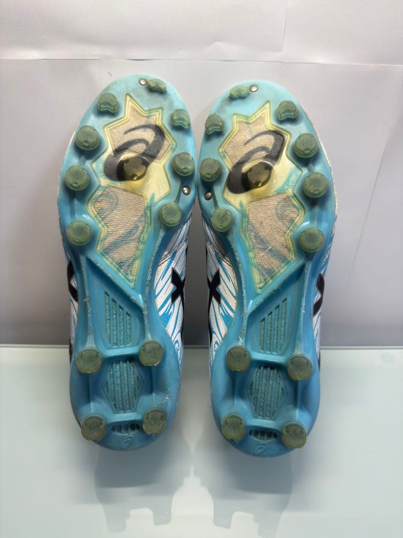 【レア】限定アシックス DS LIGHT X-FLY PRO 24cm