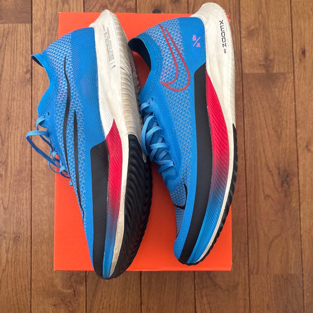 NIKE ナイキストリークフライ　29cm