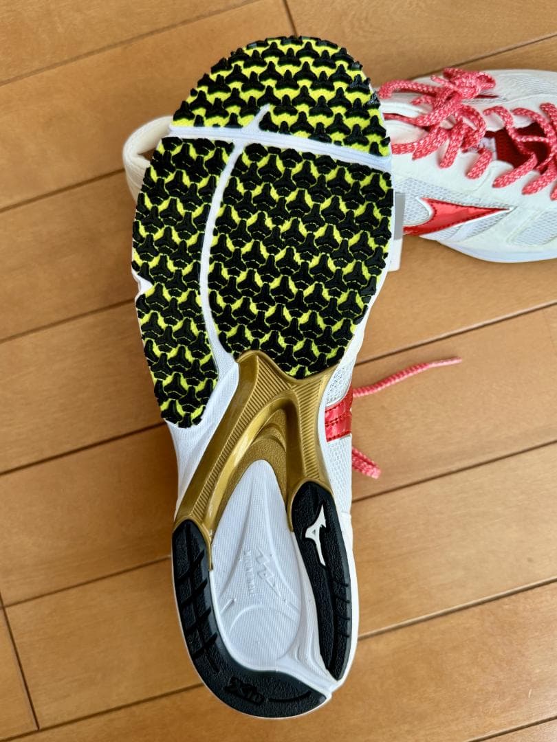 未使用 MIZUNO Wave Emperor Japan 28.0