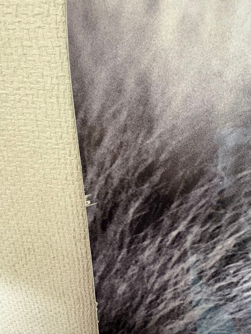 MOSS TOTO BLACKS スノーボード ライオンデザイン　約145cm