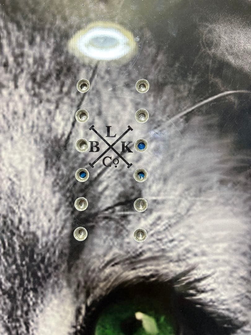 MOSS TOTO BLACKS スノーボード ライオンデザイン　約145cm