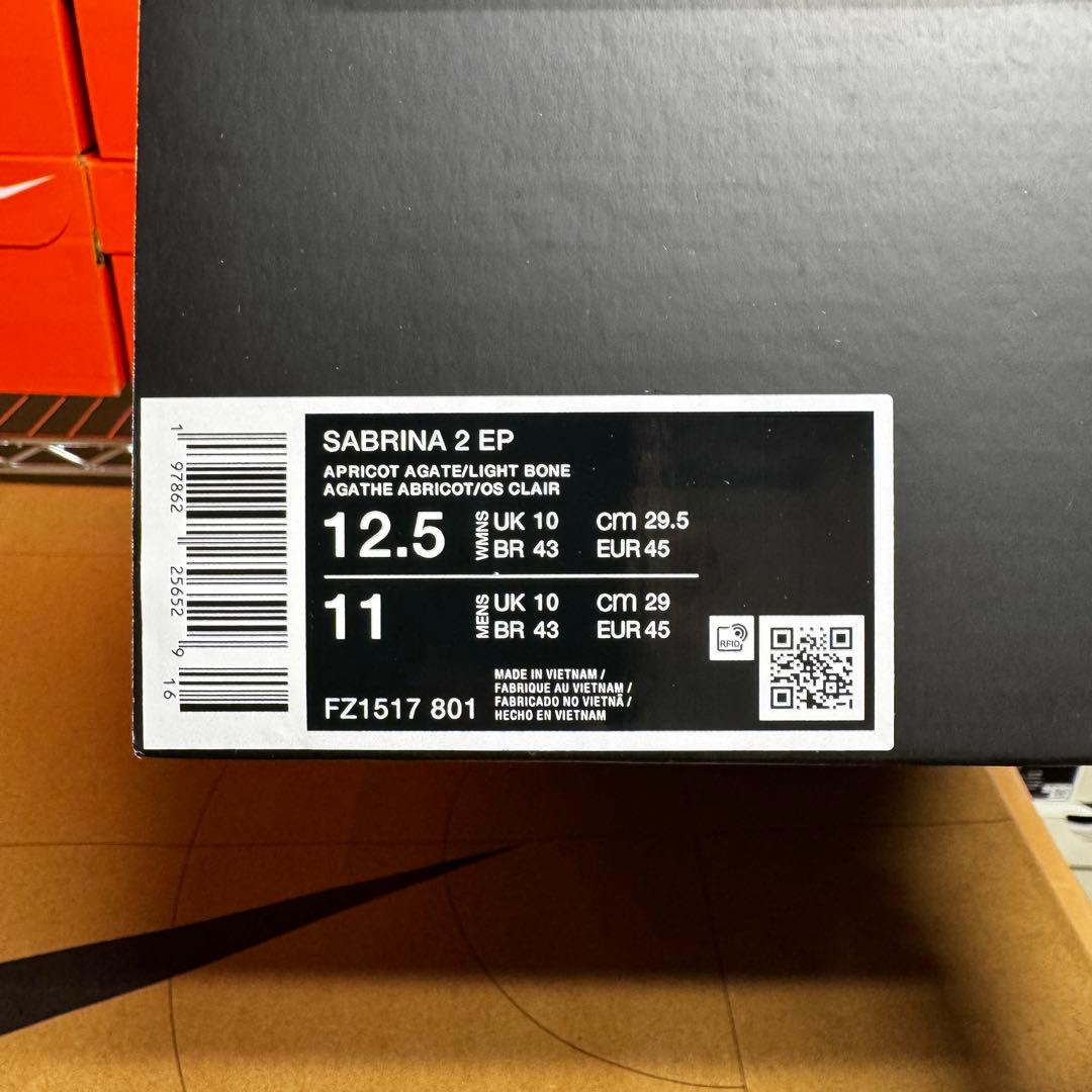シューズ(男性用) NIKE SABRINA 2 EP FZ1517-801 MENS 29cm
