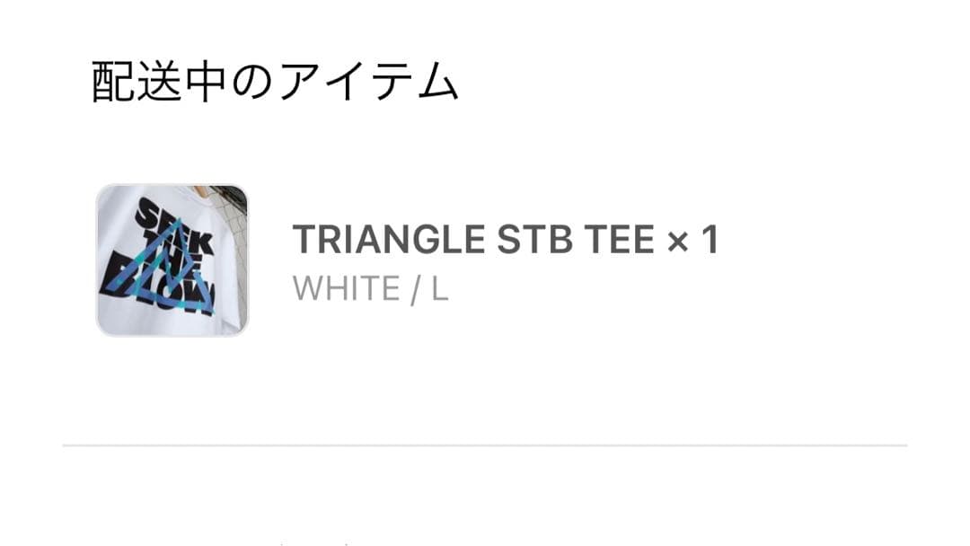 レイドジャパン TRIANGLE STB Tシャツ　金森隆志