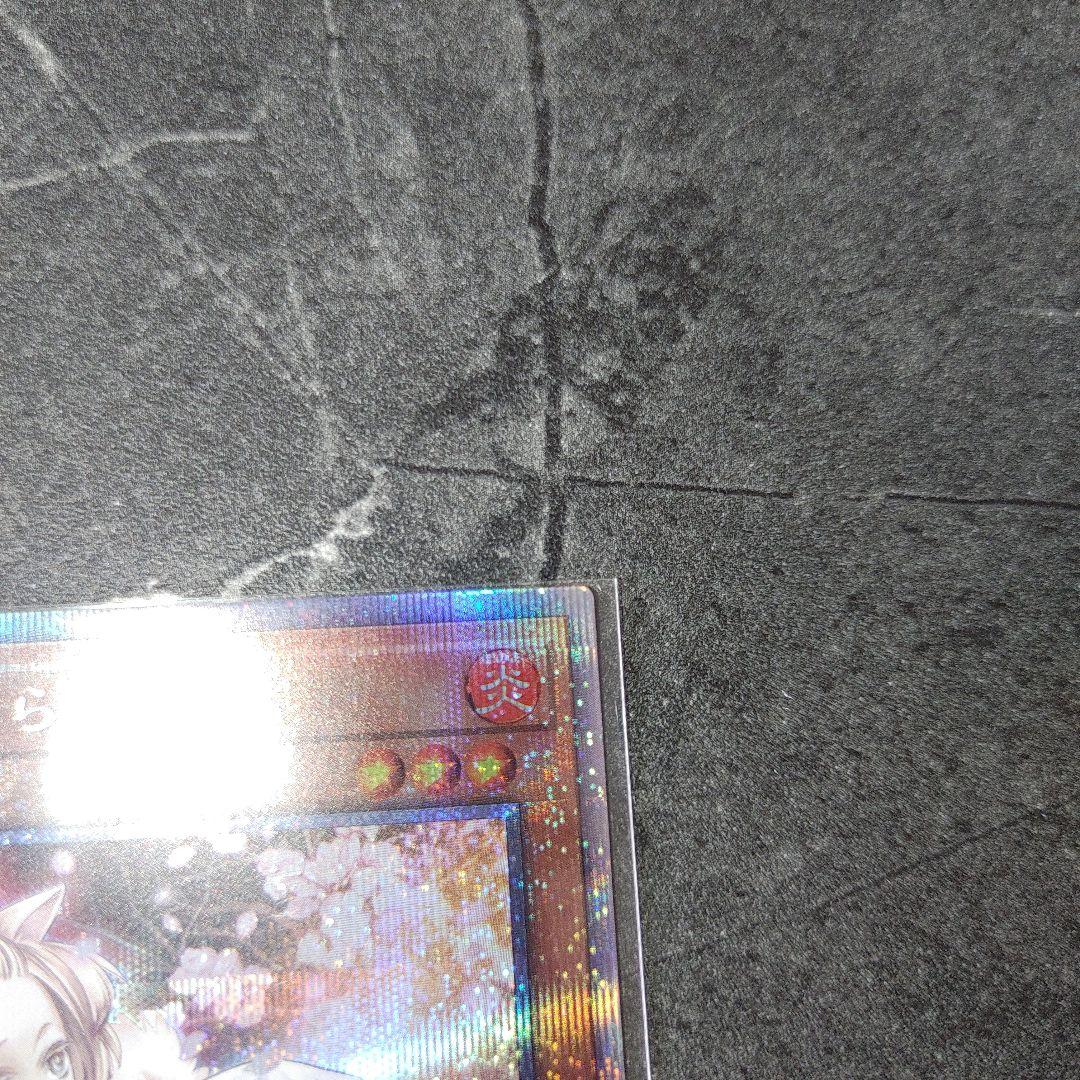 遊戯王OCG 灰流うらら　プリズマ　はるうらら