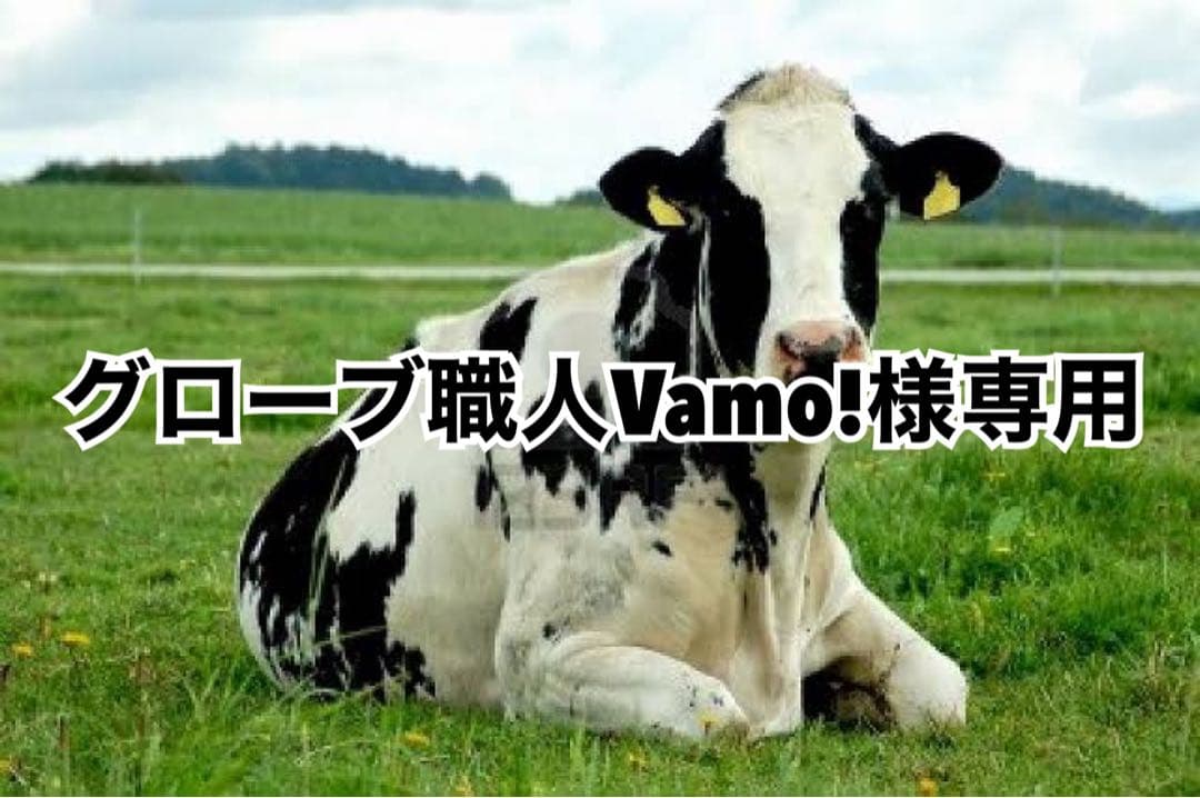 グレー20、チョコ10