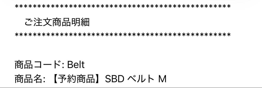 SBD パワーリフティングベルト13mm M 試着のみ