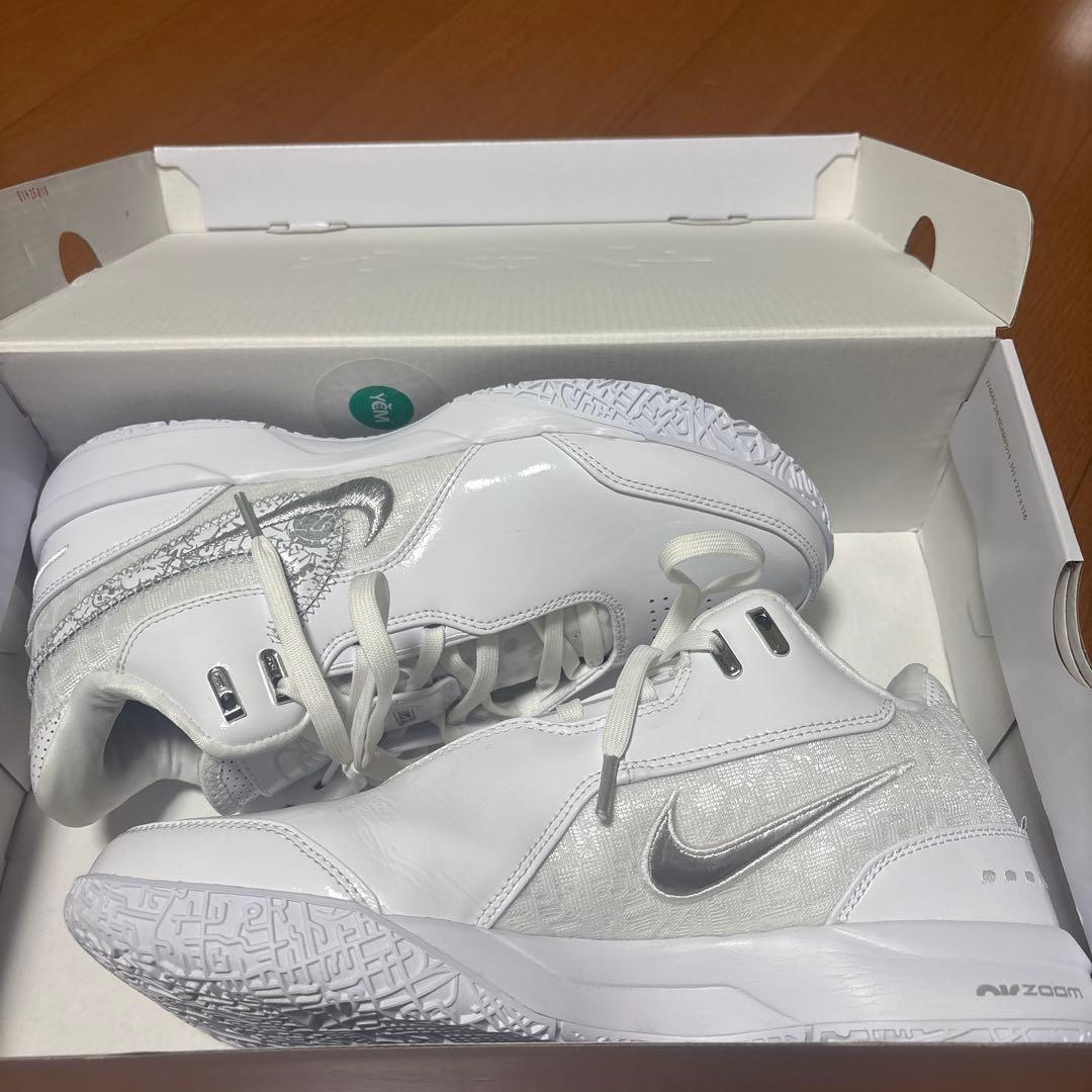 NIKE レブロン NXXT ゼン AMPD EP