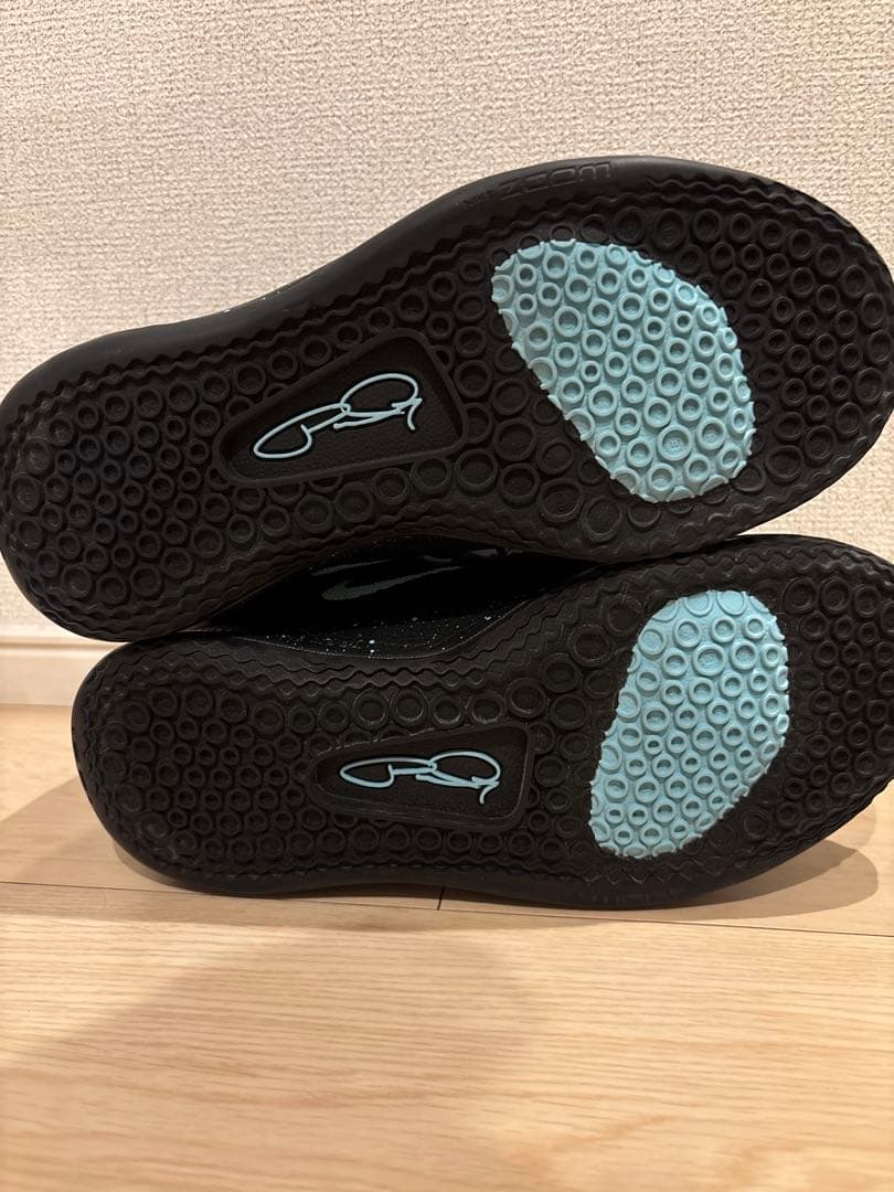 NIKE PG 3 EP pg3 ナイキ ポールジョージ バッシュ 26.5cm