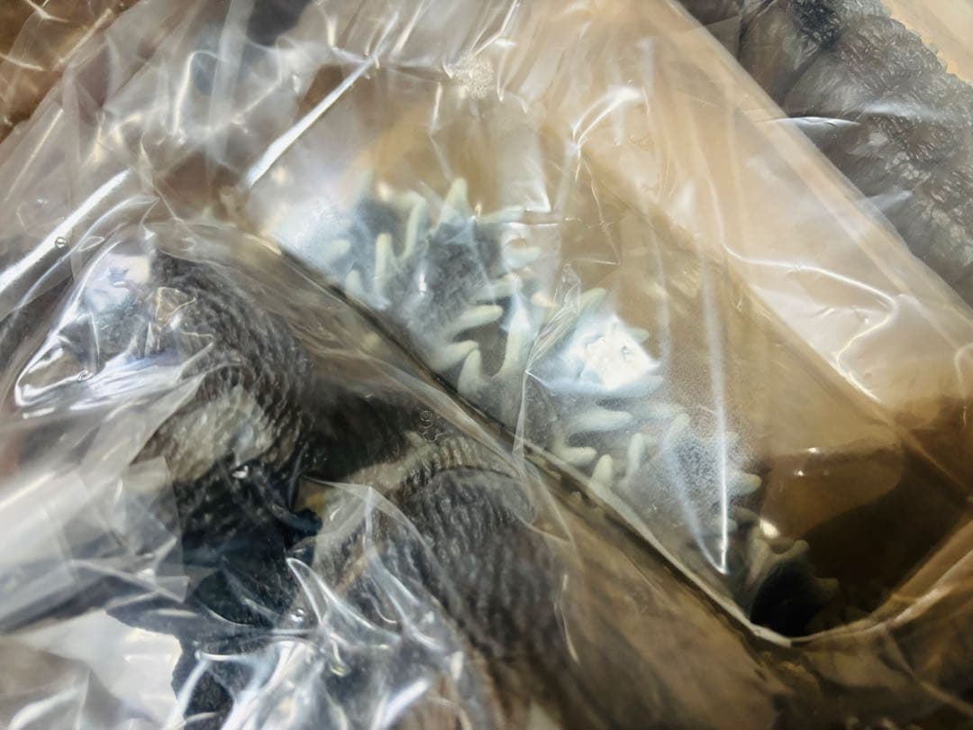 東宝30cmシリーズ ゴジラ（1995）スペシャル エディション