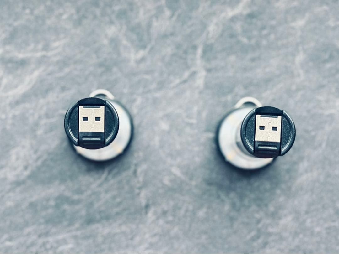 Goal Zero ゴールゼロ ライトハウス マイクロ フラッシュ 2個セット