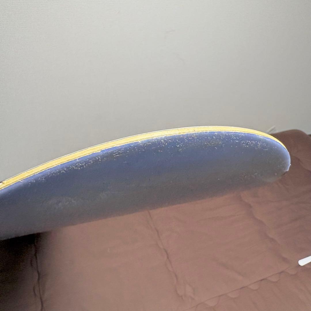 SIMS★シムス★Shaun Palmer★ショーンパーマー★スノーボード★