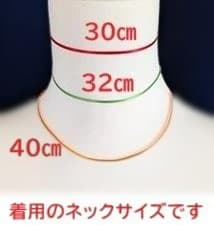 社交ダンス　エレガントな大人感のネックレス