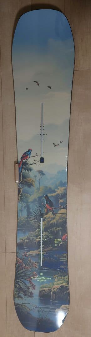 Burton Custom Flying V　156cm
