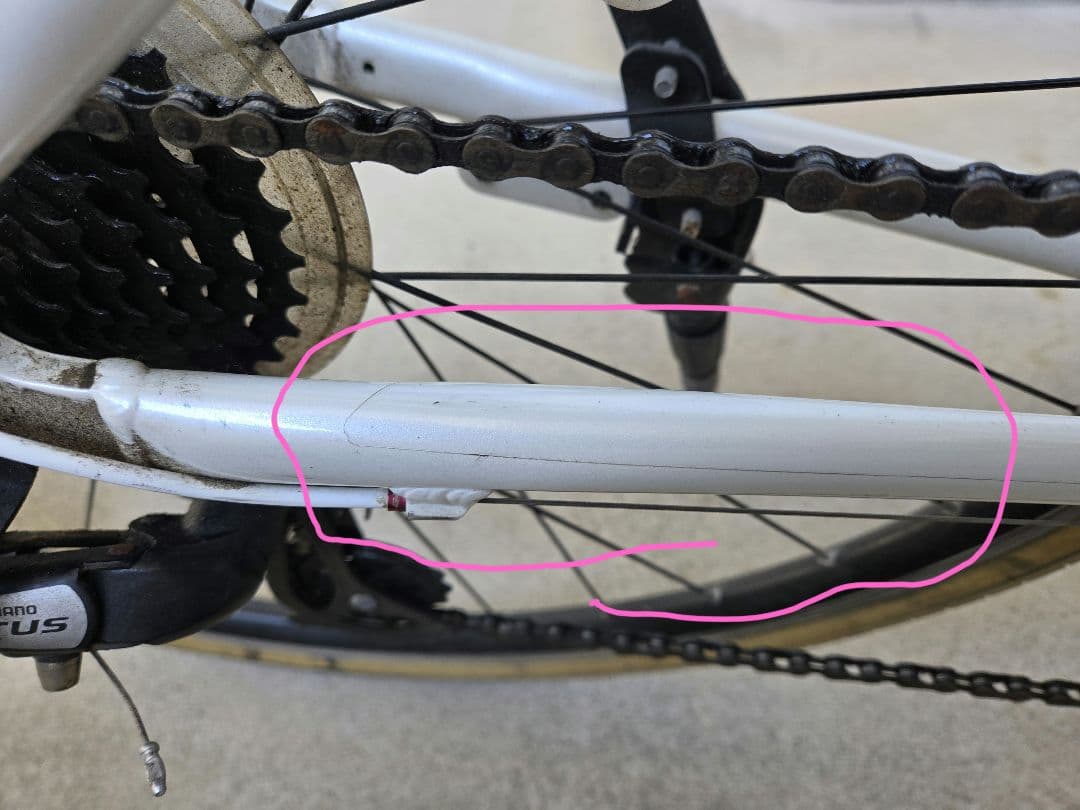 LOUIS GARNEAU ルイガノSETTER8.0 23年モデル　鳥取県