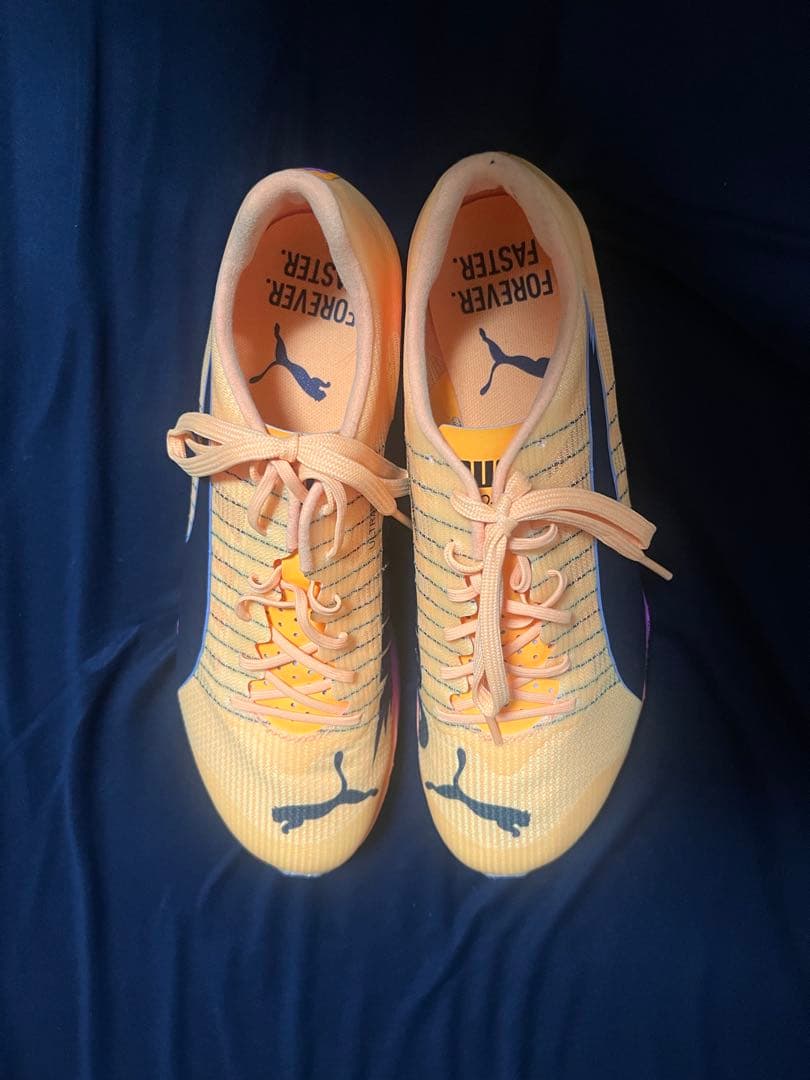 スパイク・シューズ PUMA evoSPEED Forte NITRO Elite 25.5cm