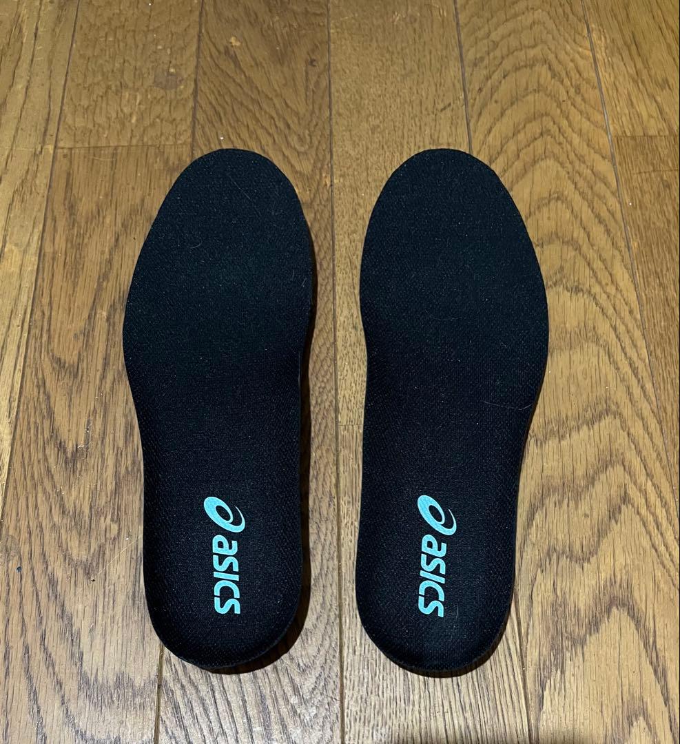 アシックス　エボライドスピード2 25.0cm 2E