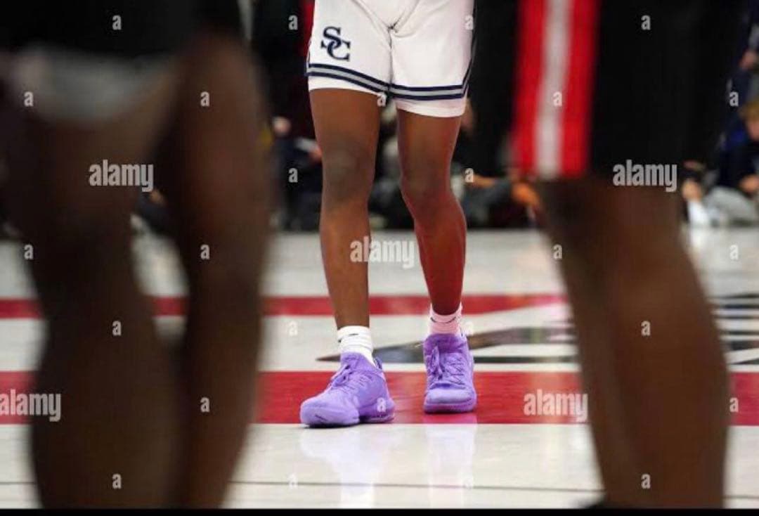 Lebron 16 ブロニー着用　日本未発売　アメリカ限定 レブロン