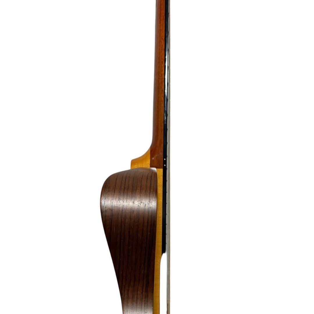 【動作確認済み】YAMAHA SLG-120NW サイレントギター ケース付